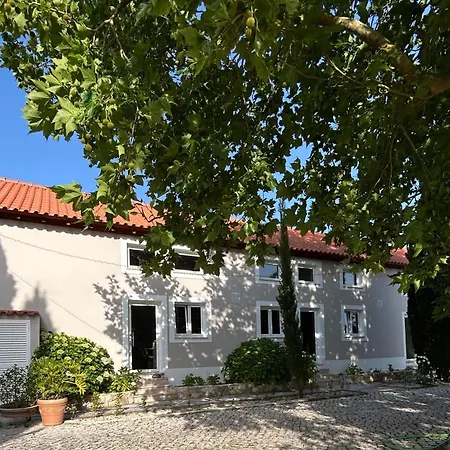 Piupiustays Apartment Vermelha